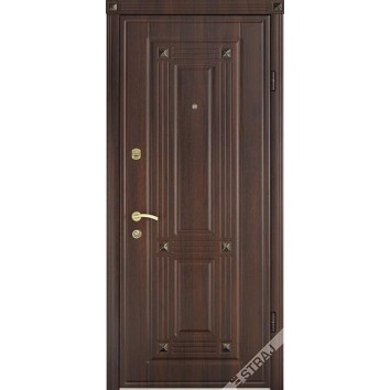 Страж (107)